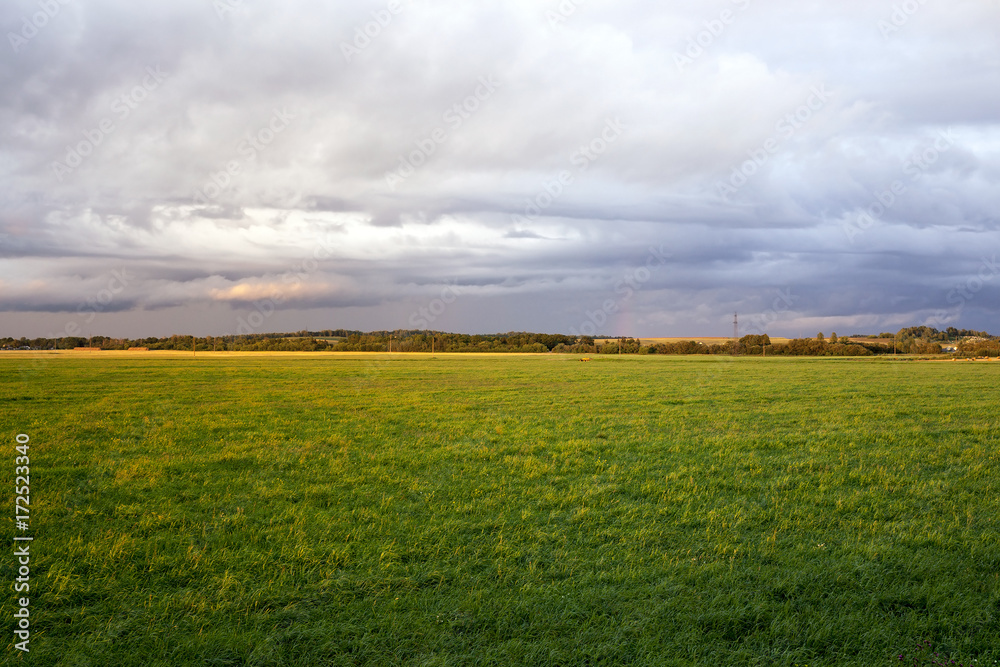 Obraz premium summer landscape