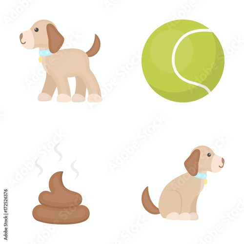 Dog sitting, dog standing, tennis ball, feces. Dog set collection icons in cartoon style vector symbol stock illustration web.