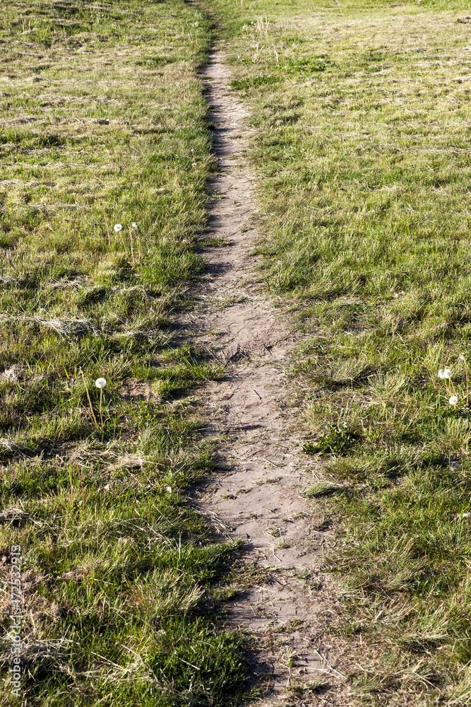 path on the lawn path on the lawn