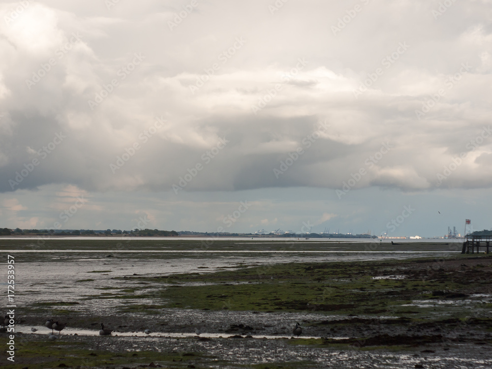 beautiful estuary scene outside ground stream tide out beautiful estuary scene outside ground stream tide out