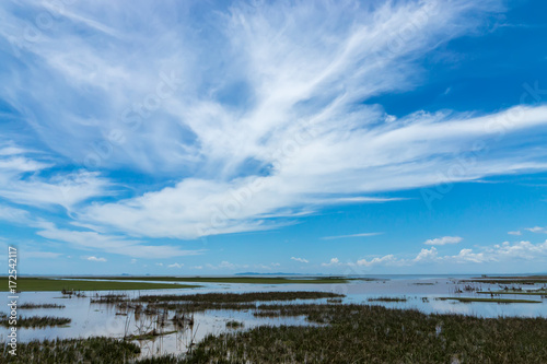 Wildlife sanctuaries of southern Thailand. (Wetland)