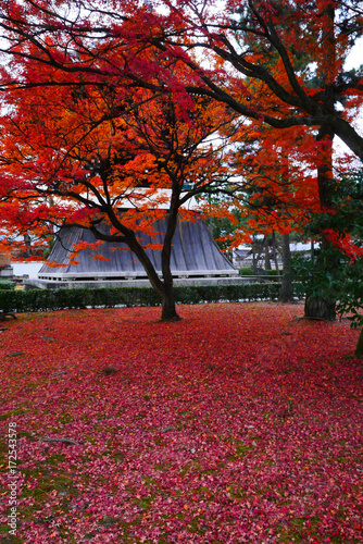 Fall of ancient capital of Japan