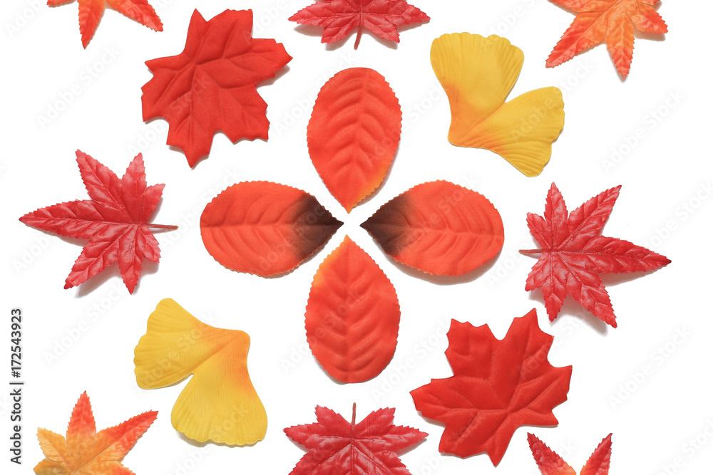 Obraz premium 白背景に人工の紅葉