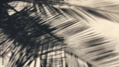 Shadows of palm tree fronds fluttering on textured sand beach