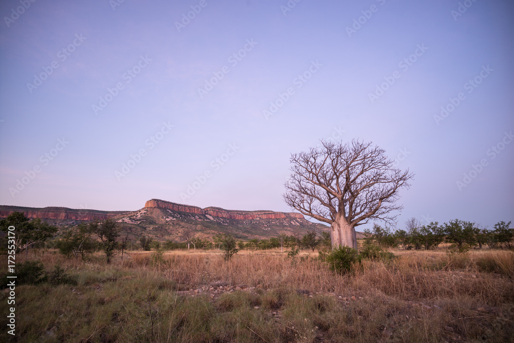 Cockburn Ranges, Kimberley