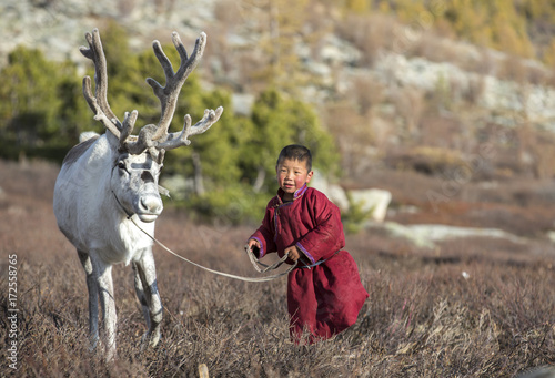 tsaatan boy, dressed in a traditional deel, with a reindeer photo