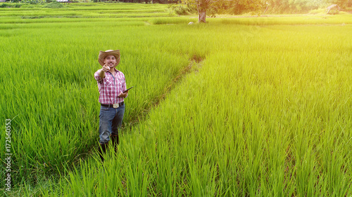 Young man farmer happiness on rice greenfield
