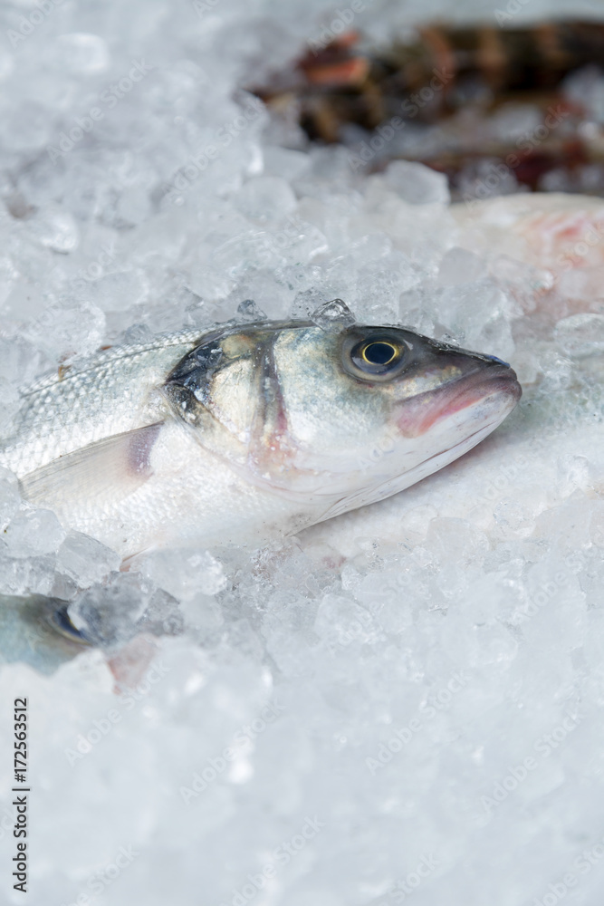 Freshly-Caught Fish on Ice