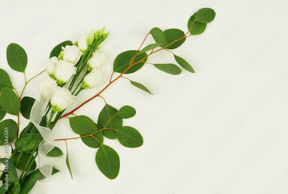 green eucalyptus branch with flowers on a white background.abstract. top view. copy space green eucalyptus branch with flowers on a white background.abstract. top view. copy space