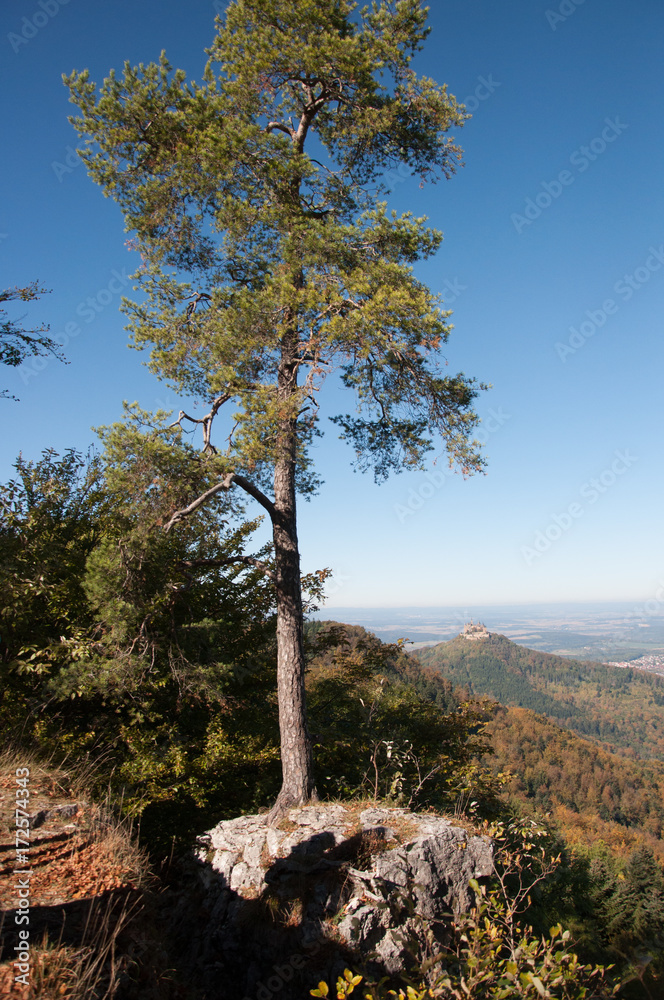 Fototapeta premium Traufgänge Albstadt