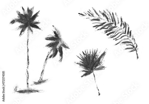 Hand drawn palm tree isolated on white background.   ink sketch  mascara illustration.Tropical palm tree. Sketch for printing on fabric  clothing  accessories  and design.
