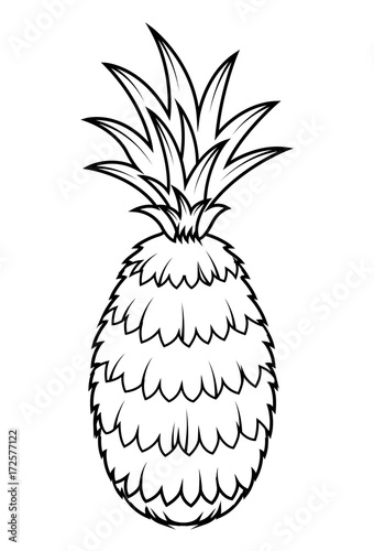 Pineapple Vector Drawing