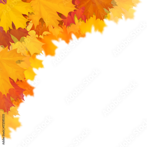 Maple leaf in corner with defocus blur effect. Vector realistic illustration on white background.