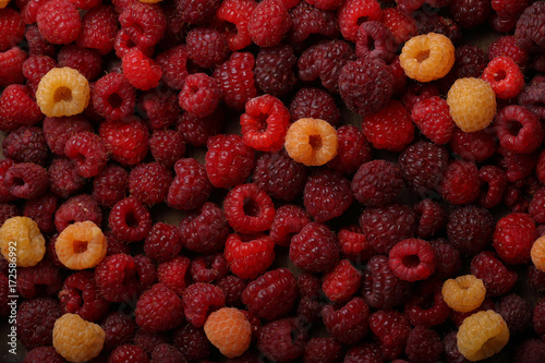 Red and yellow raspberry