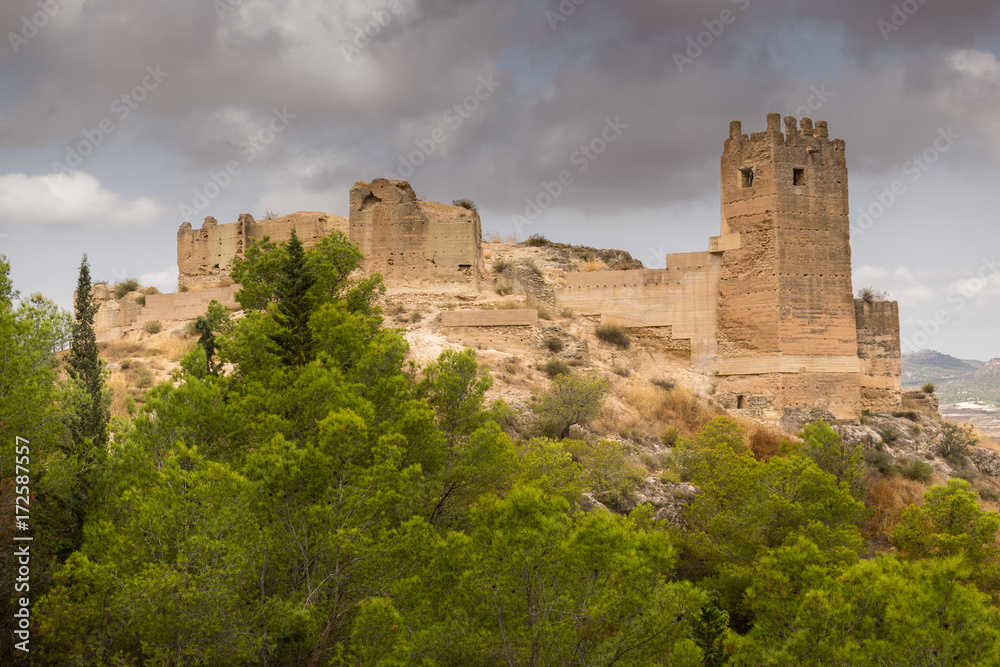 old castle in pliego (murcia, spain), in a cloudy day