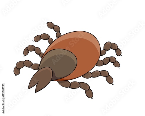 dangerous parasite - tick