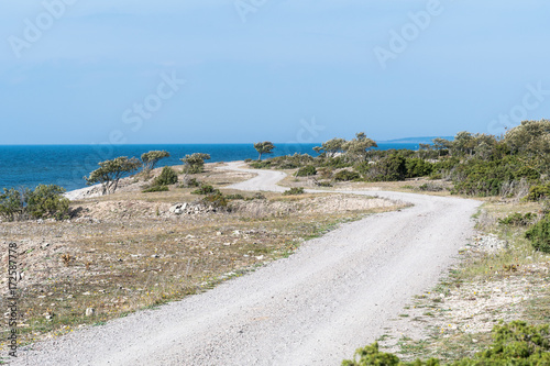 Winding road in a coastal landscape