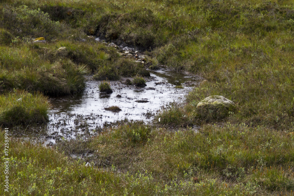 Pfütze im Hochmoor Pfütze im Hochmoor