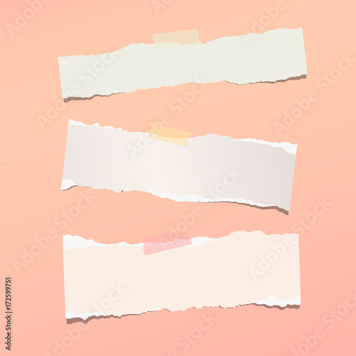 Torn note, notebook, copybook paper strips stuck with sticky tape on pink background.
