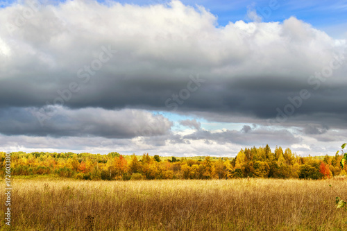 Autumn landscape. Field and forest are yellow and gray, low clouds