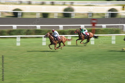 Horse Racing Veliefendi Hippodrome