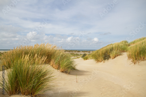 View on the beach and sea between two dunes grown with Marram grass 