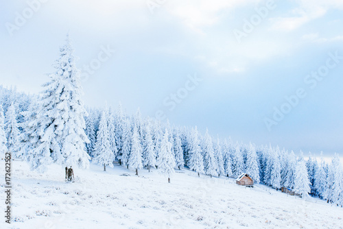 Mysterious winter landscape majestic mountains in winter. Magical snow covered tree. In anticipation of the holiday. Dramatic wintry scene. Carpathian. Ukraine. Happy New Year.