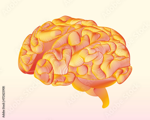 Abstract line brain on a light background. Can use for medical templates. Vector illustration.