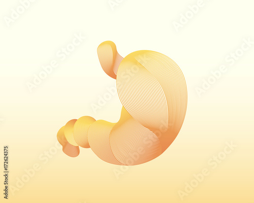 Linear human stomach. Vector illustration. Colorful drawing. Can use for medical templates.