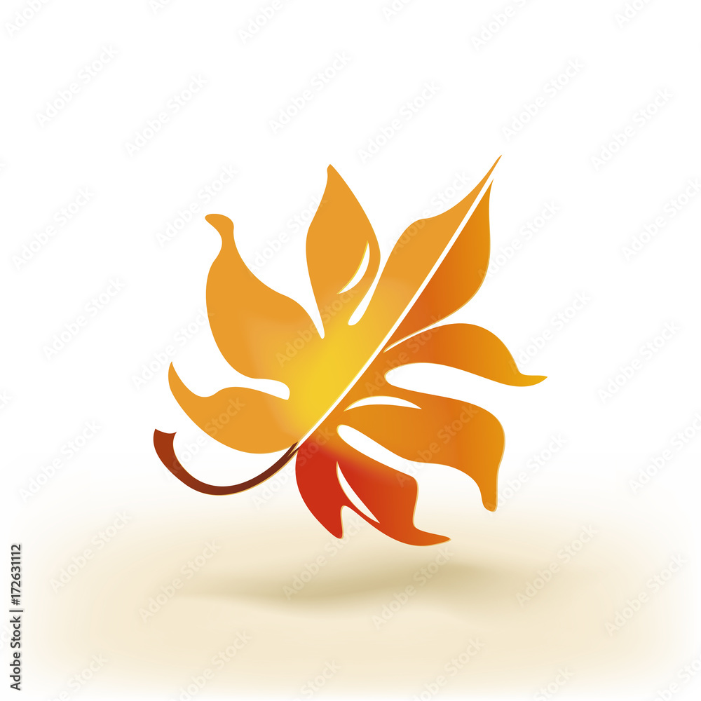 Autumn leaf isolated on white Autumn leaf isolated on white