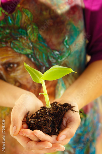 Hand and plant. enviroment concept. Beautiful clothing background..