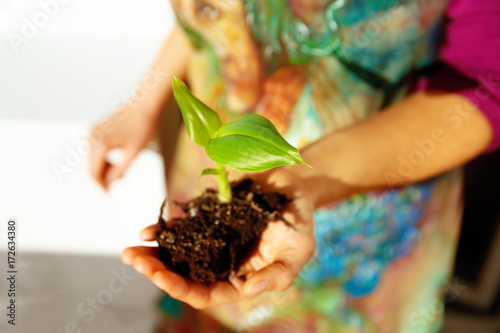 Hand and plant. enviroment concept. Blur background.