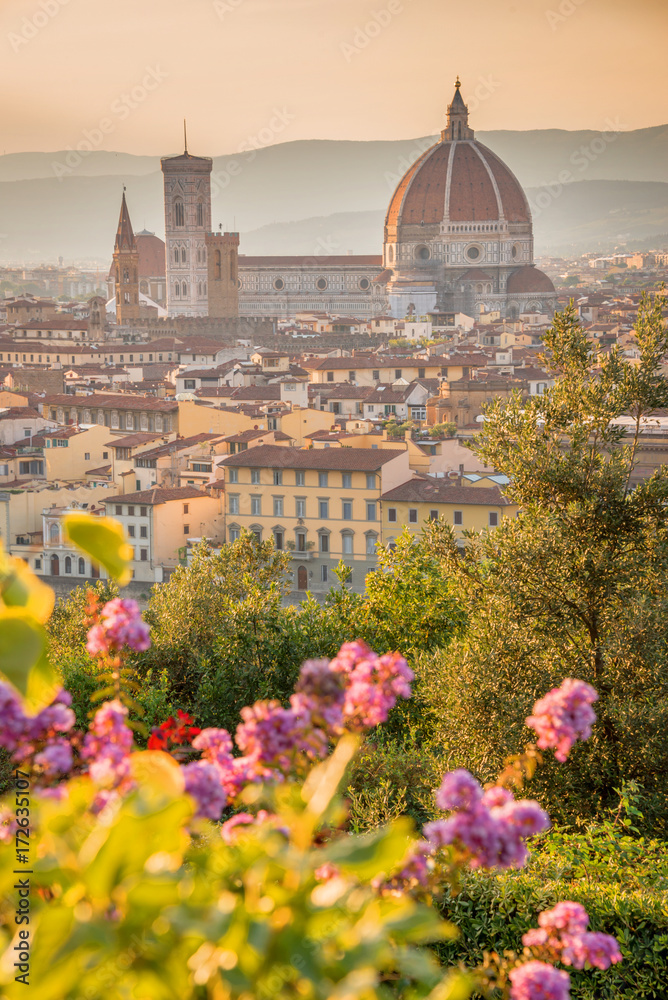 Aerial view of Florence with the Basilica Santa Maria del Fiore (Duomo), Tuscany, Italy