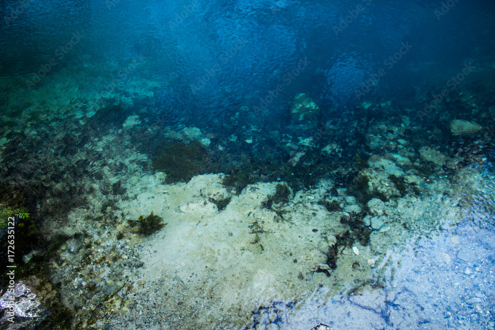 Obraz premium Beautiful bottom of a blue lake in Abkhazia