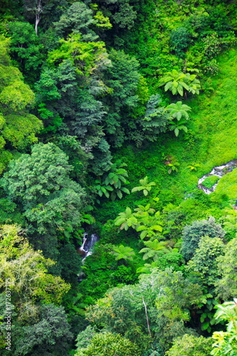 Aerial view of rain forest  Medan  Indonesia.