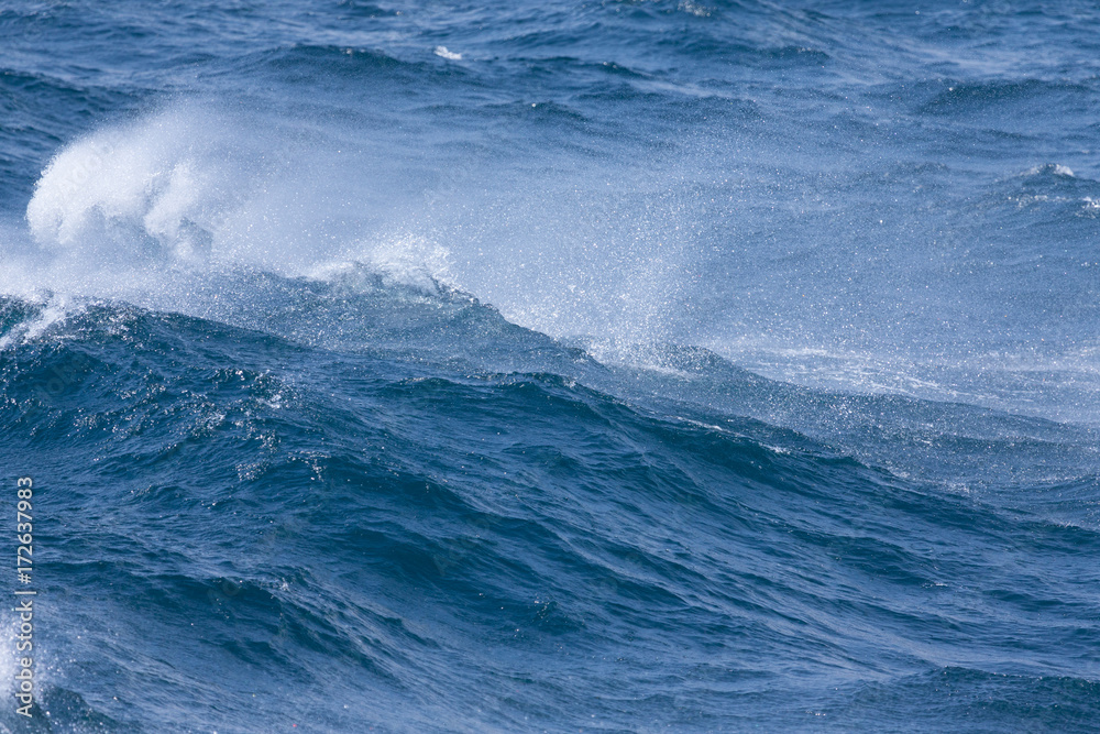 White crest of a sea wave. Selective focus. Shallow depth of field