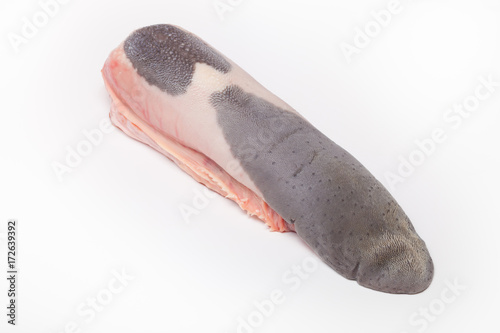 Fresh raw beef tongue on a light background