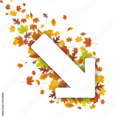 Down Arrow Autumn Foliage photo