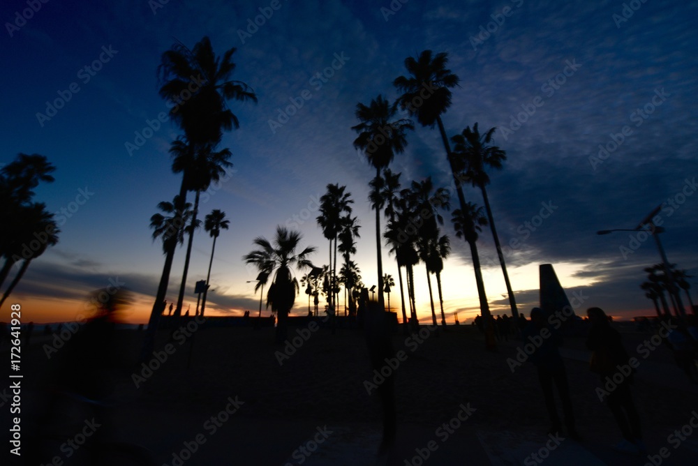 Obraz premium venice beach sunset
