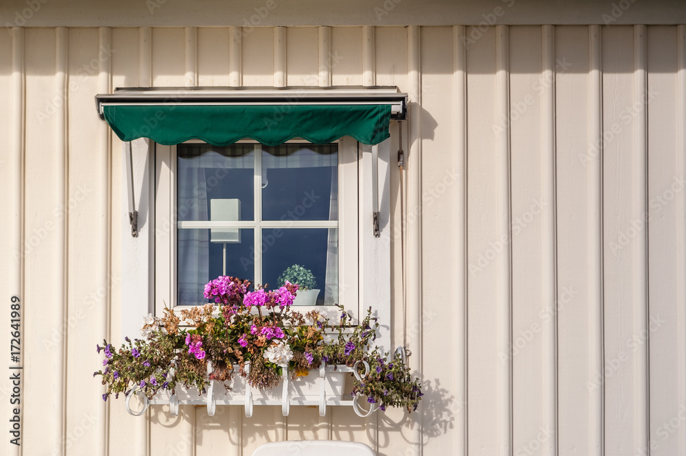 Details of a wooden house with small window, curtains and flowers in  scandinavian style. Sweden, Scandinavia, Europe. Stock Photo | Adobe Stock