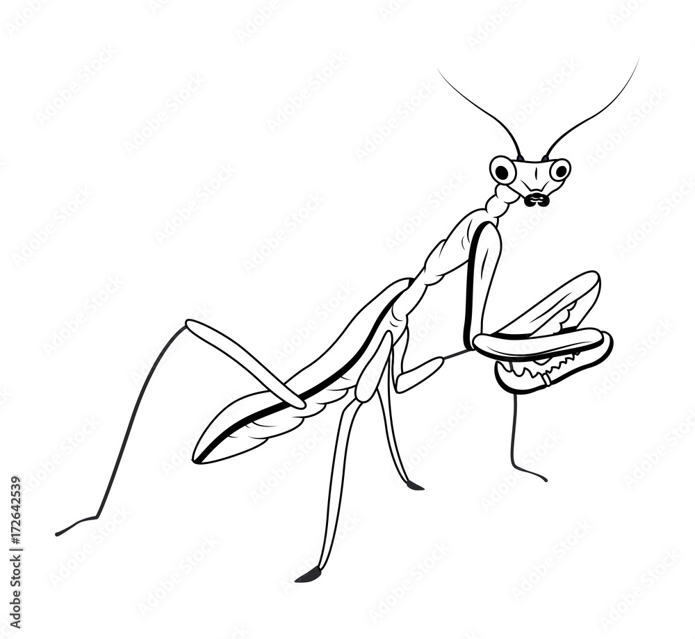 Cartoon wooden Insect Vector Sketch Stock Vector | Adobe Stock