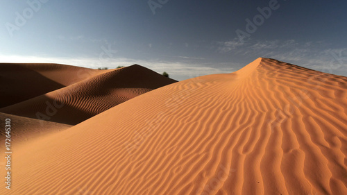 Sahara dune di sabbia nel deserto in Tunisia