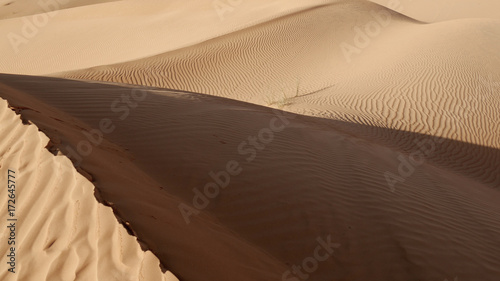 Fototapeta Naklejka Na Ścianę i Meble -  Sahara dune di sabbia nel deserto in Tunisia