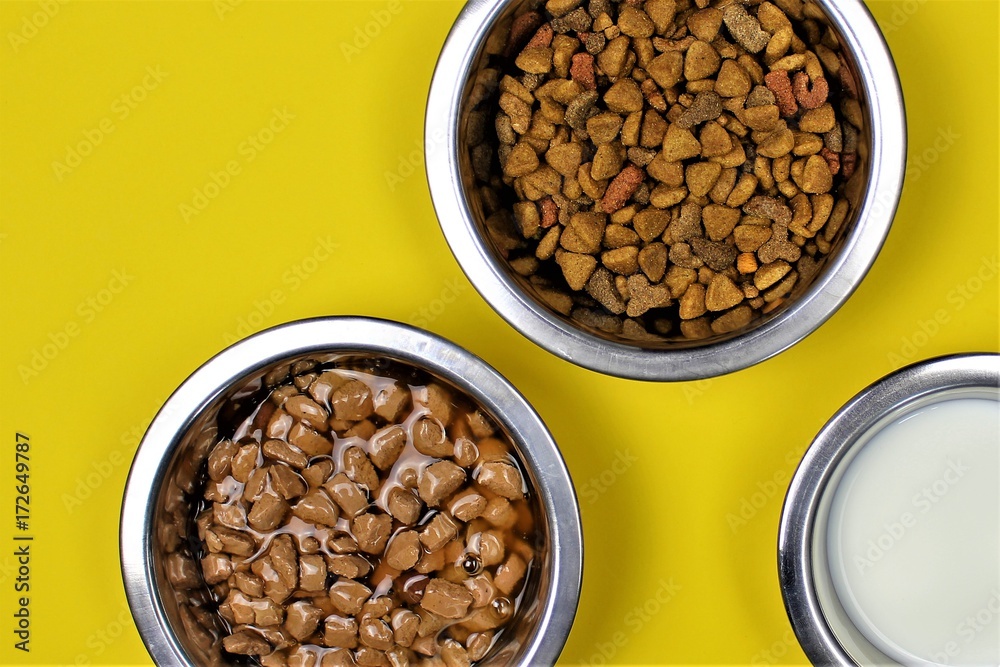 Fototapeta premium An Image of cat food with colorful background