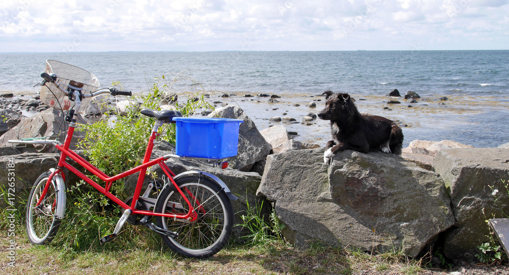 Obraz premium Auszeit am Meer