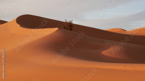 Dune di sabbia nel deserto Sahara tunisino