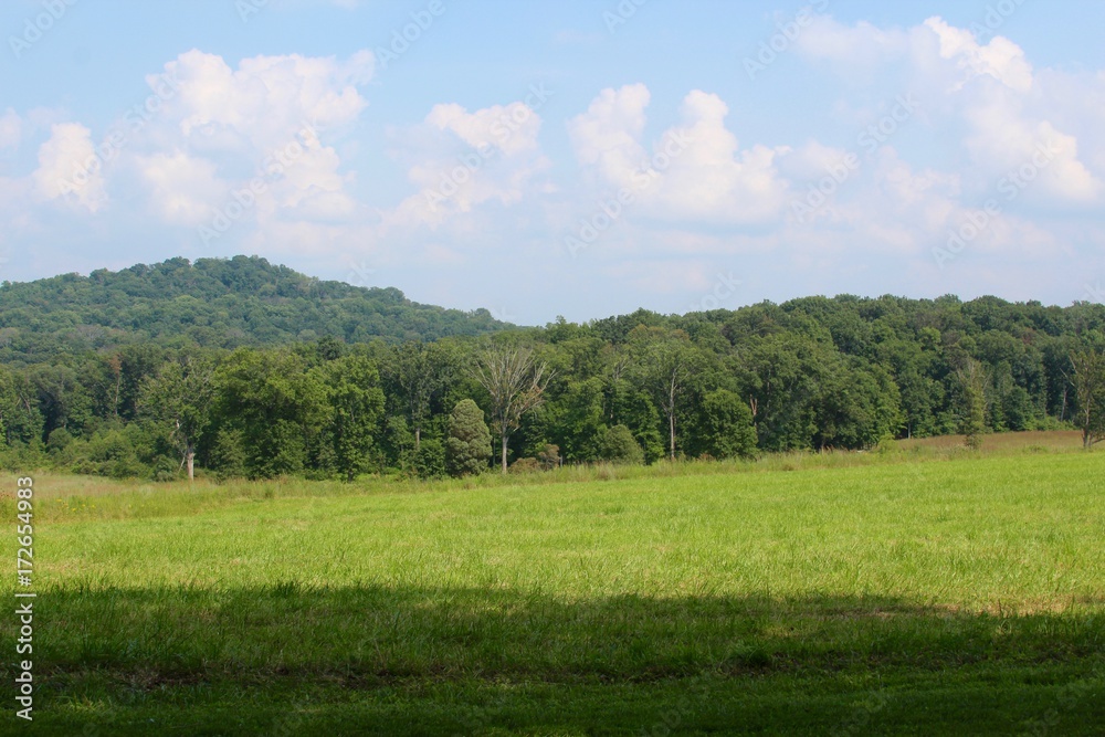 The grass field and landscape with the hill in the background.