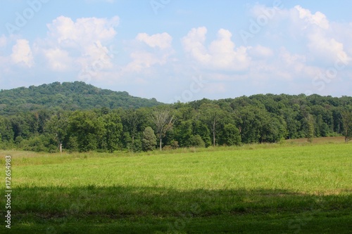 The grass field and landscape with the hill in the background.