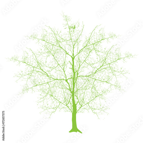 Vintage Tree - clip-art vector illustration 