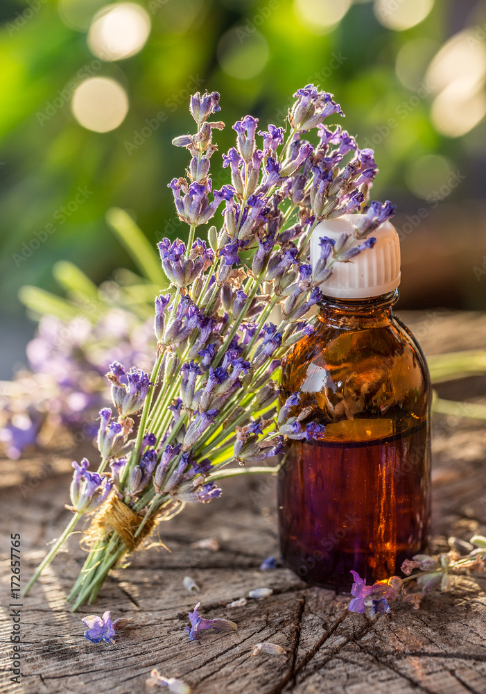 Fototapeta premium Bunch of lavandula or lavender flowers and oil bottle are on the old wooden table.